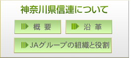 �_�ސ쌧�M�A�ɂ���