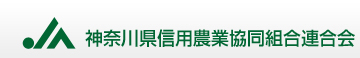 �_�ސ쌧�M�p�_�Ƌ����g���A����