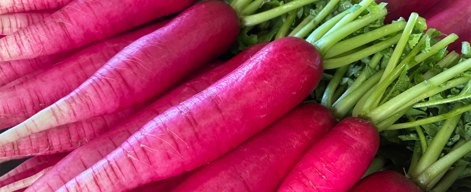 メインビジュアル21