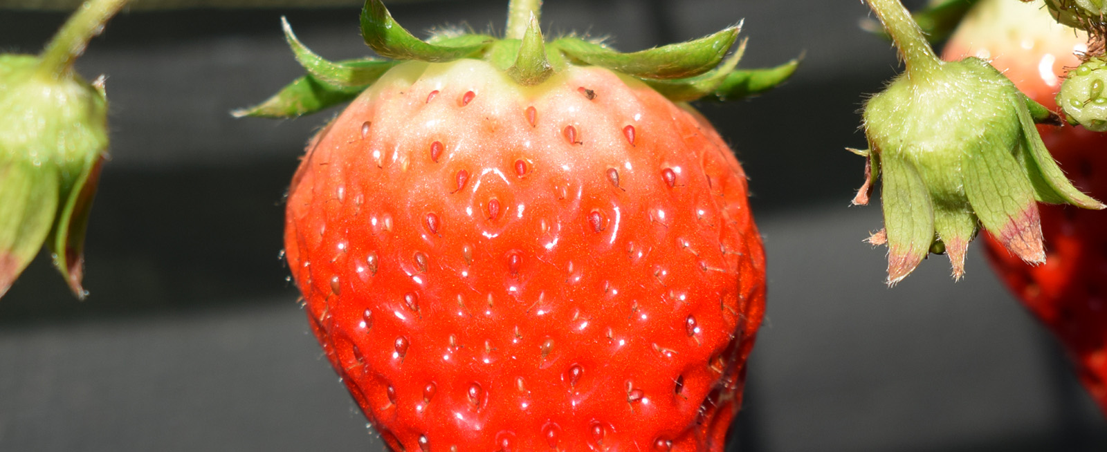 メインビジュアル25