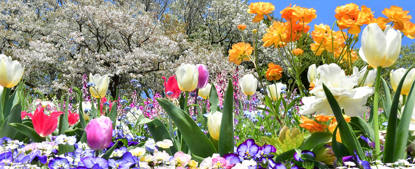 メインビジュアル25