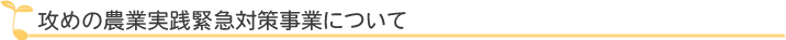攻めの農業実践緊急対策事業について 攻めの農業実践緊急対策事業について