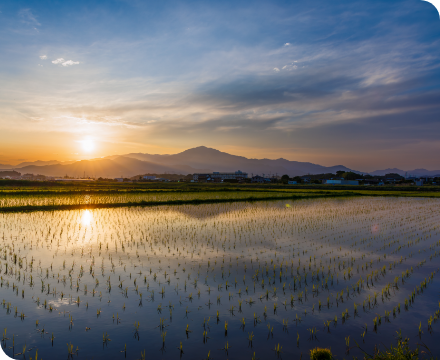 「アグリコンサル班」プロジェクト 